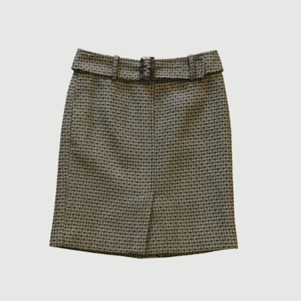 ANN TAYLOR skirt